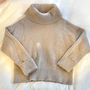 Banana Republic Factory Chunky Cowl Neck Sweater